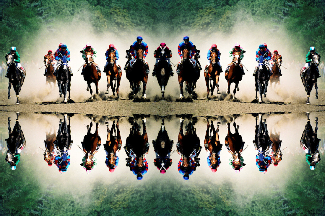 Winners - Race Horses and You