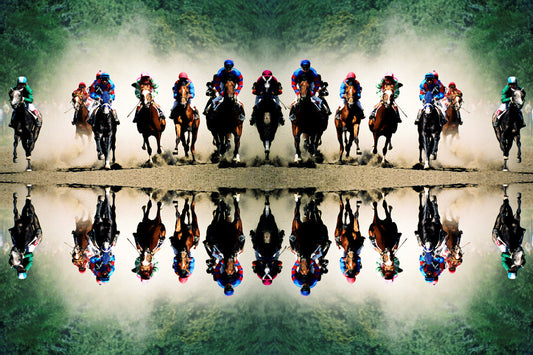 Winners - Race Horses and You