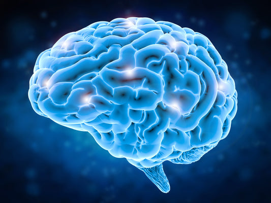 What is Your IQ?
