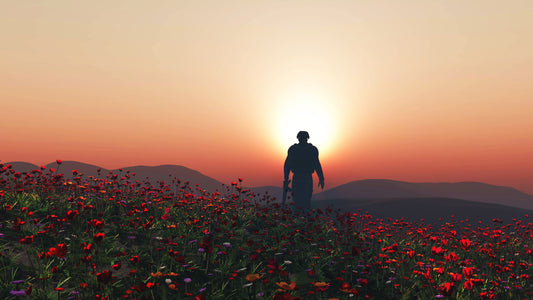 Remembrance Day: Did You Ever?