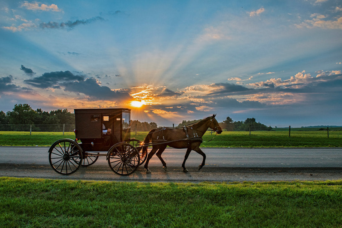 Amish Values