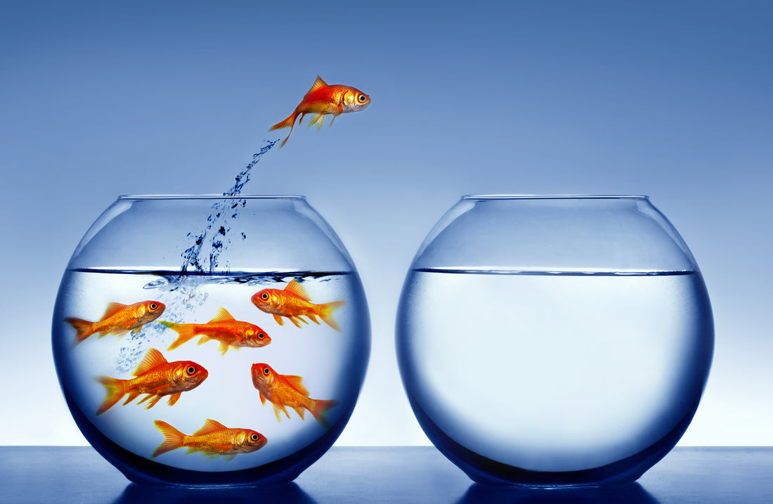 Change Your Career - Change Your Life!