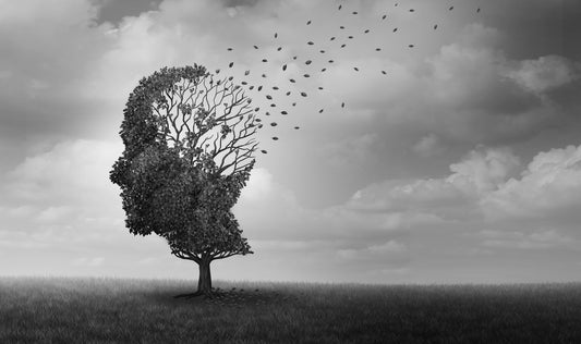 What is Alzheimer's Disease?