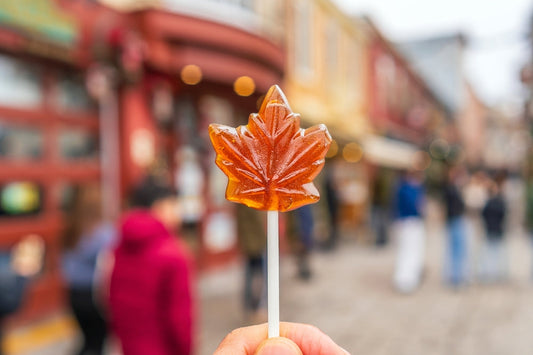 What Makes Canada Unique?