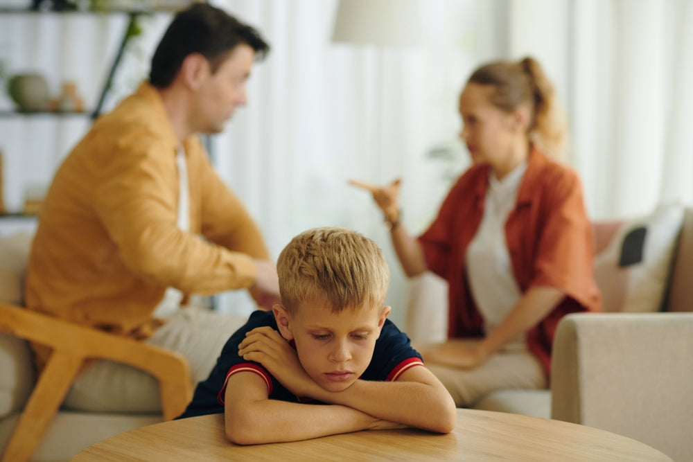 Best Interests of the Child - Separation and Divorce