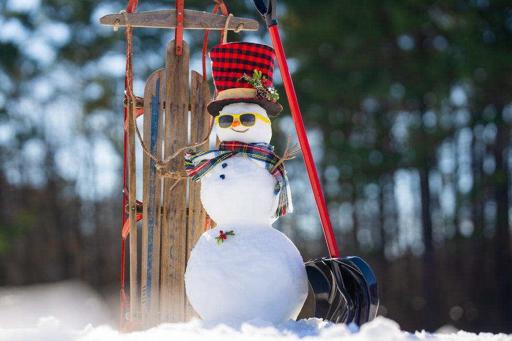 What is a Chinook and How Does it Help Us Psychologically?