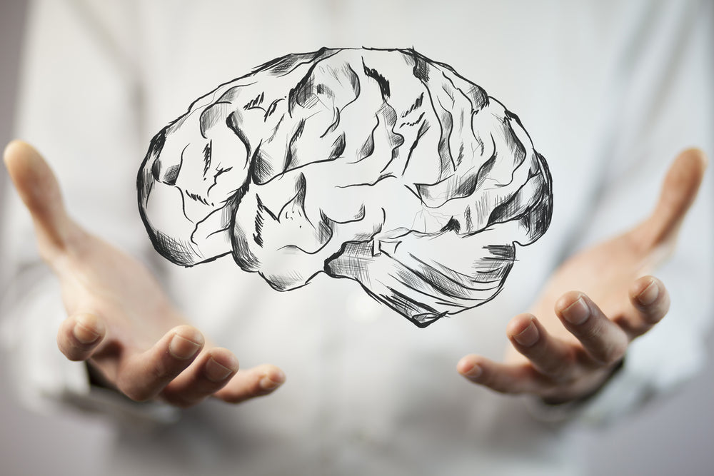 Brain Work