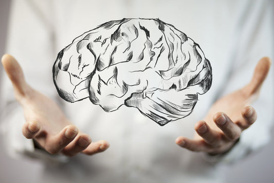 Brain Work